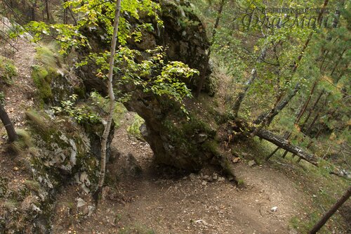 IMG_2731_r
